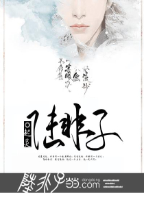 侍妾作者十夜灯