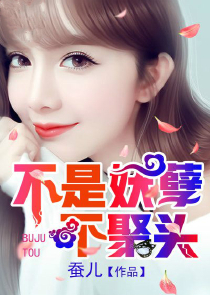 鸿道小说