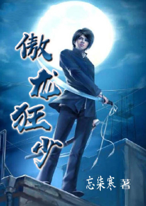 女刑警队长