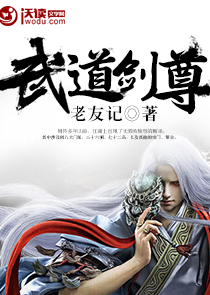 斗破苍穹书