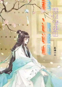 扶华小说怎样