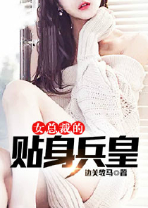 小说特种教师