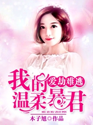海贼之血脉系统