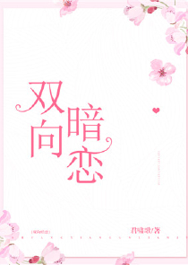 宠物小精灵同人小说女主穿