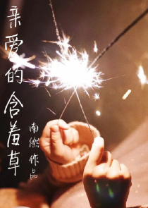 四合院：好日子，从坑贾东旭开始