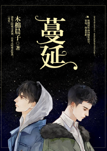 宝可梦套路对战