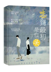 邪王妃作者娇颜倾城