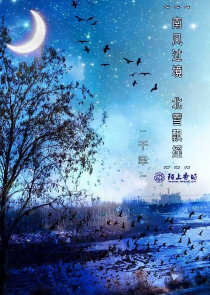 魔法师皮塔无删减在线观看