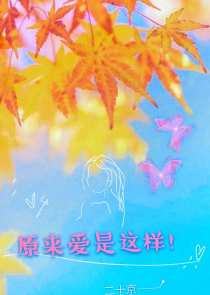 鸿道小说