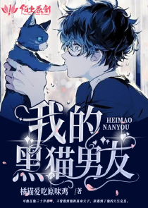 叶城柳昭晴全本小说免费全文阅读