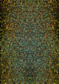心搔