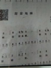 废材女中学生txt下载