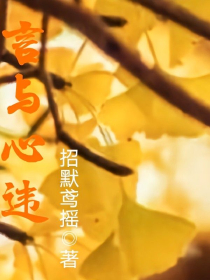 神级向导
