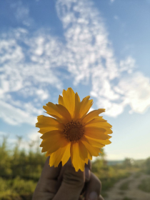 综快穿：花吉时空旅行