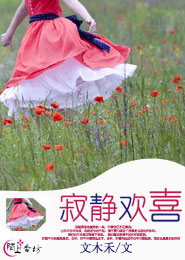 鄉村郵遞員小說閱讀