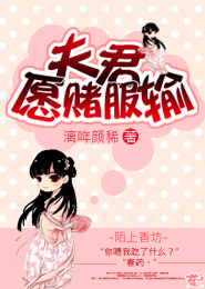 查理九世25稻草人之乡