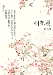 总裁系列的言情小说