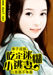 變裝小說妻子的復仇