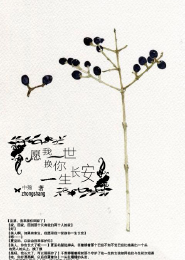 我是绝世大反派