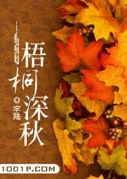 穿越之道士王妃
