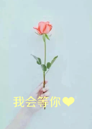 会呼吸的花苞