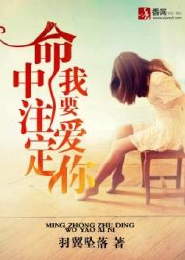 大明之少年天子