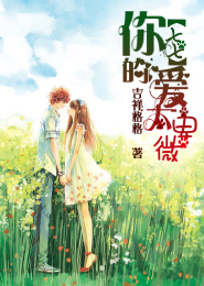 折翼天使太陽黑子