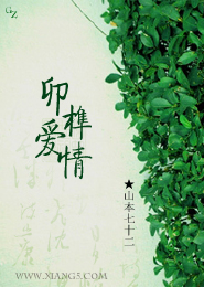 宠物小精灵之渡智追逐