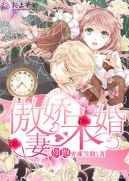 反穿之魏先生的甜妻
